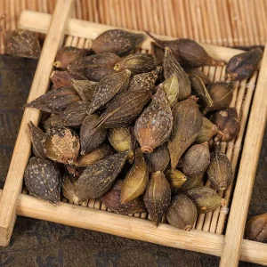 Lian Qiao Traditional Chinese Herb Fresh Forsythia Fruit Dried Raw Processing for Heat Clearing and Detox