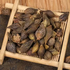Lian Qiao Traditional Chinese Herb Fresh Forsythia Fruit Dried Raw Processing for Heat Clearing and Detox