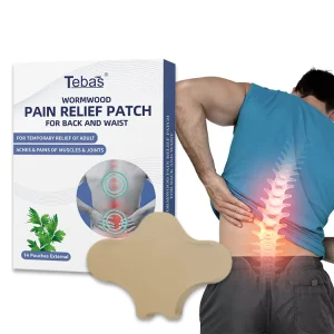 Lijitang Health Care Products OEM ODM Herbal Effective Relieve Back Wormwood Waist Pain Health Heat Patch Back Pain Patch