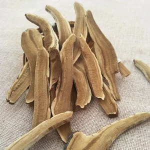 Ling Zhi Bulk Gift Packing Dried Renshi Ganoderma Lucidum Mushroom