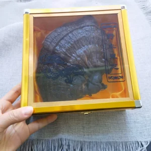 Ling Zhi High Quality Herbal Medicine Ganoderma Lucidum Gift Box