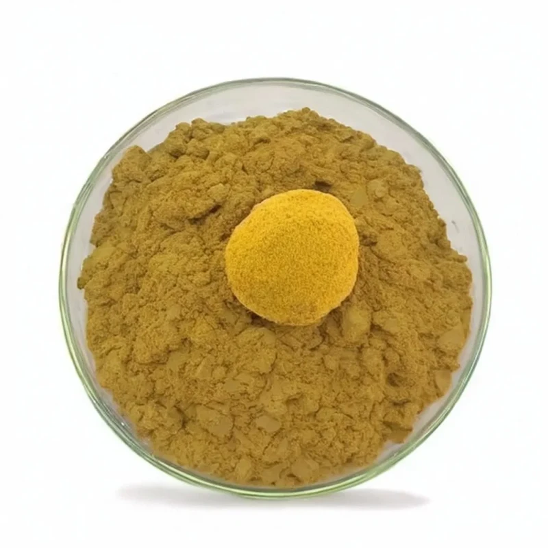 Lions Mane Mushroom Extract Powder 10 1 Bulk for Dietary Supplements