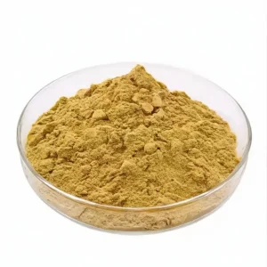 Lion’s Mane Mushroom Extract Powder (Hericium erinaceus) Ingredients for Dietary Supplements