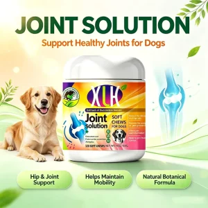 Long Term Joint Care Tablets for Senior Dogs Cats Glucosamine Chondroitin MSM Collagen with Turmeric Extract Hip Support