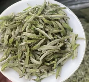 Loose Organic Baihao Yinzhen White Tea