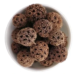 Lu Lu Tong (Fructus Liquidambaris) Traditional Chinese Herb for Promoting Blood Circulation and Relieving Wind Dampness