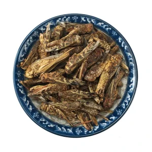 Ma Zha Chinese Medicine Dried Edible Grasshopper Dried Locusts Fish Or Bird Feed