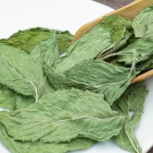 Mao Bo He Cat Mint Chinese Herbs Schizonepetae Herba Grass Pets Plant Toy for Cats Spices