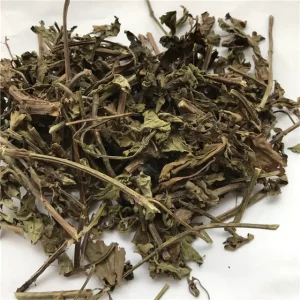 Mao Xu Cao Bulk Natural Chinese Herb Dried Orthosiphon Stamineus with Price
