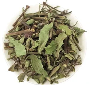 Mao Xu Cao Cat Whisker Grass Dry Herbs Chinese Herbal Grass Plant Cat Whisker Natural Grass High Quality Herbs For Men Kidney