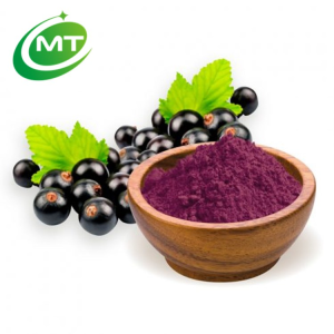 Maqui Fruit Powder Maquiberry Powder Maqui Berry Powder