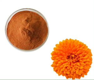 Marigold Extract Powder with Lutein Zeaxanthin Tagetes Erecta 100% Natural Marigold Flower Extract