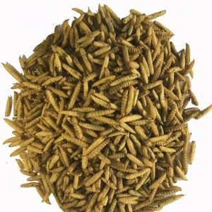 Meal Worm and Black Soldier Fly Insects Dryer Tunnel Microwave