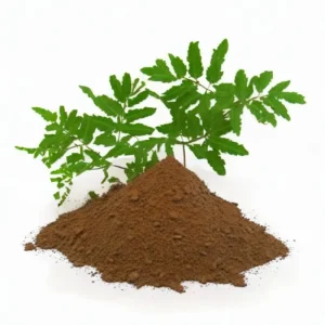 Mimosa Tenuiflora Whole Herb Extract