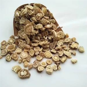 Ming Dang Shen Natural Herb Dried Radix Changii for Sale