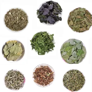 Mint Leaf and Poria Cocos Natural Dried Chinese Herbs