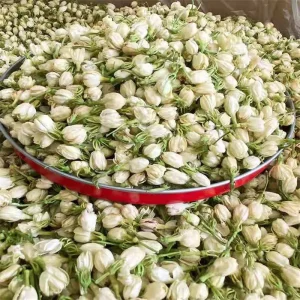 Mo Li Hua Dried Natural Dried Jasmine Flowers Blooming Flower jasmine Tea