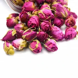 Model 1 Rose Flower Bud