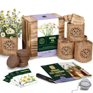 Modern Indoor Herb Garden Starter Kit Organic Care for Medicinal Herbs at Home or Outdoor for Growing Herbs Indoors
