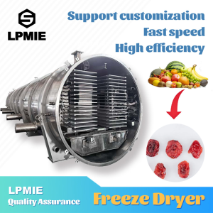 Modern Techniques Gzls Series Vacuum Lyophilizer for Chinese and Western Medicine