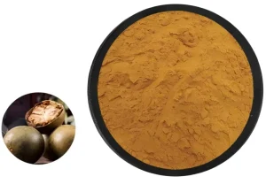 Monk Fruit Sweetness Mogroside V 20%-60% Organic Certification High Purity Customized