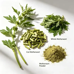 Motherwort Herb Leonuri Herba Aromatic Plant Raw Material for Herbal Tea Solid Beverage Natural Flavor Incense Soap Shampoo