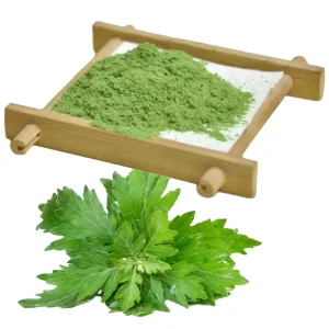 Mugwort Leaf Extract Mugwort Powder Extract