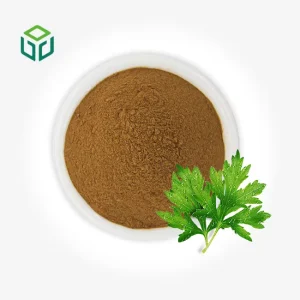 Mugwort Leaf Extract Powder Food Grade Herbal Extract Organic Certified in Bottle Drum Packaging From China Aicao