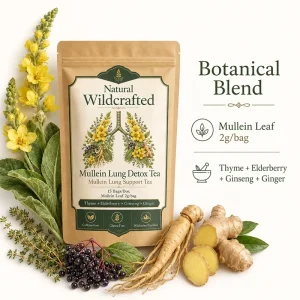 Mullein Lung Detox Herbal Tea Bag 15pcs OEM Manufacturer Elderberry Ginseng Ginger Lung Support