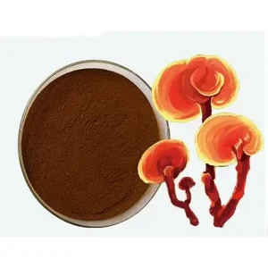 Mushroom Powder Ganoderma Lucidum Extract Powder Chinese Traditional Medical Herb Lingzhi Reishi Mushroom Extract