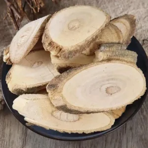 Natural Acanthopanacis Senticosi Root Chinese Herbal Medicine for Kidney Health Care