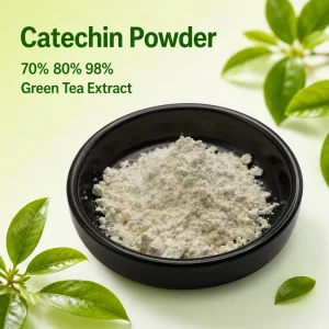 Natural Antioxidant Pure Catechin Powder 70% 80% 98% Supplement Green Tea Extract Catechins