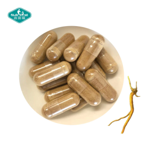 Natural Astragalus Root Extract Capsule Herbal Plant Extract OEM ODM Supplier