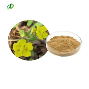 Natural Chinese Cinquefoil Herb Extract Powder 20 1 Descolor 10 1