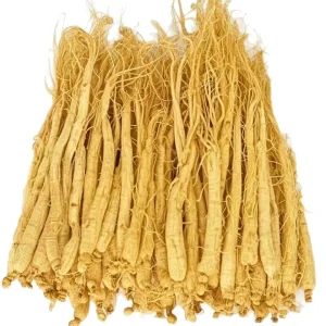 Natural Chinese Herb Raw Dried White Ginseng Root OEM and ODM Services Supported
