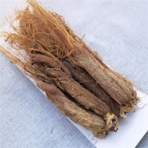Natural Chinese Herbal Medicine Dried Korean Red Ginseng Root
