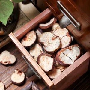 Natural Chinese Semen Aesculi Herbal Medicine for Optimal Wellness