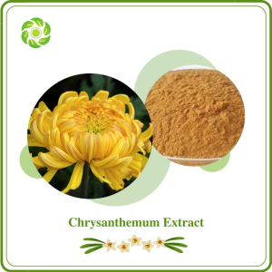 Natural Chrysanthemum Extract with 5-25% Flavones for Supplement