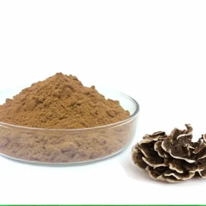 Natural Coriolus Versicolor Extract Turkey Tail Mushroom Extract Powder Turkey Tail Extract