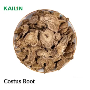 Natural Costus Root Rhizome
