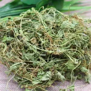 Natural Dried Centella Asiatica for Circulation & Skin Health TCM Herb Bulk OEM ODM