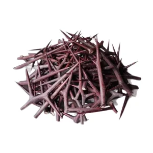 Natural Dried Chinese Honeylocust Thorn Factory Direct Customizable