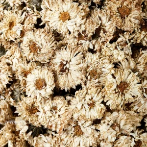 Natural Dried Chrysanthemum Buds for Herbal Tea