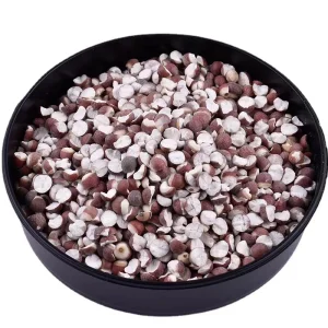 Natural Dried Gorgon Euryale Seed Fox Nut Qian Shi for Herbal Tea