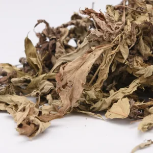 Natural Dried Herb Sweet Mugwort Leaves for Incense