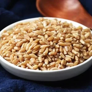 Natural Dried Huai Wheat for TCM & Gan Bulk OEM ODM