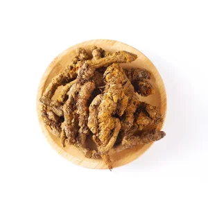 Natural Dried Huanglian Root Pure Raw Herbal Material Chinese Golden Root OEM Customized Packaging