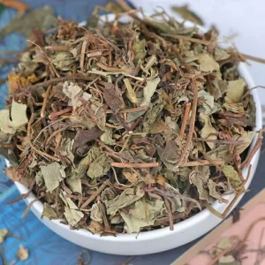Natural Dried Lysimachia Herb for Stone Removal & Dampness Relief Bulk OEM ODM