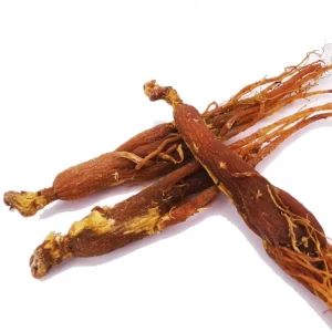 Natural Dried Red Ginseng Root Panax Ginseng Bulk Herbal Raw Material