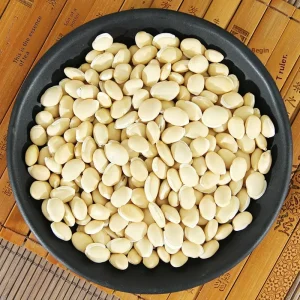 Natural Dried White Hyacinth Beans for Spleen Health & Dampness Relief Bulk OEM ODM